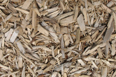 biomass boilers Ludderburn